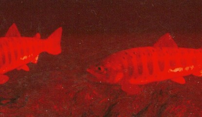 Virtual Fishing (Virtual Boy)