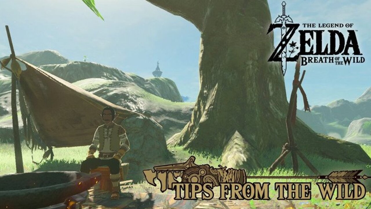 The Latest Zelda: Breath of the Wild Gift is for You Archers | Nintendo Life