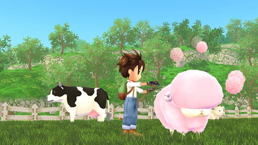 Players Are Already Getting Their Hands On Story Of Seasons: A Wonderful Life In Japan 1
