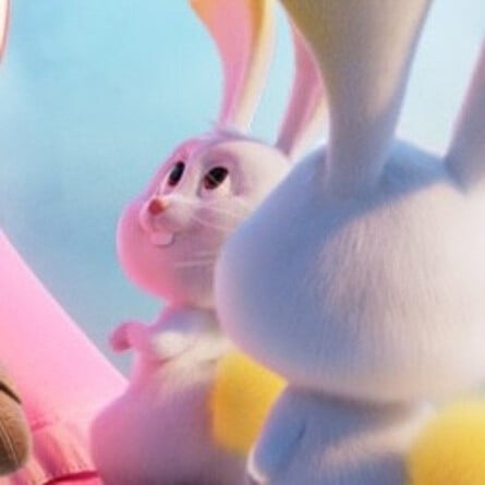 Mario Movie - Star Bunny