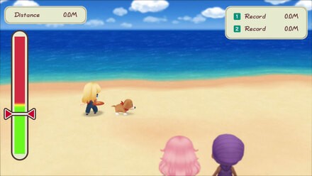 Story of Seasons Switch