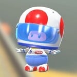 Toad Pro Racer