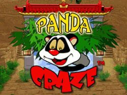 Panda Craze Cover
