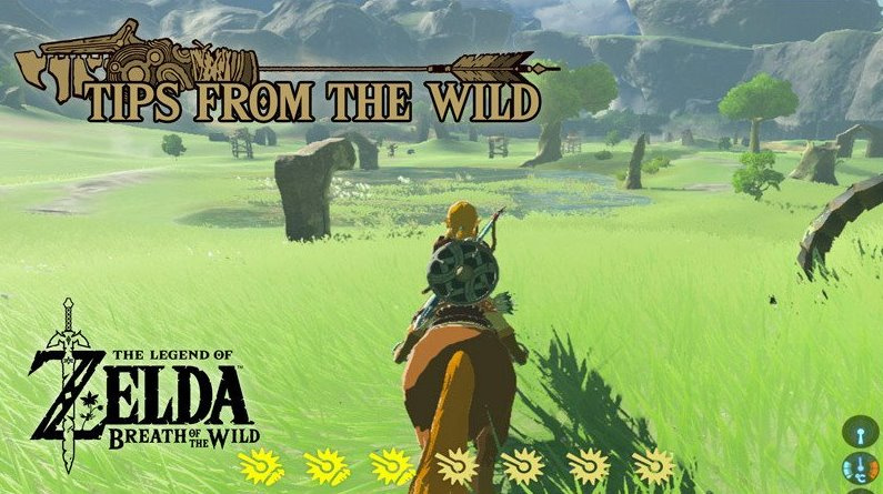 Breath of the Wild lovely horse.jpg