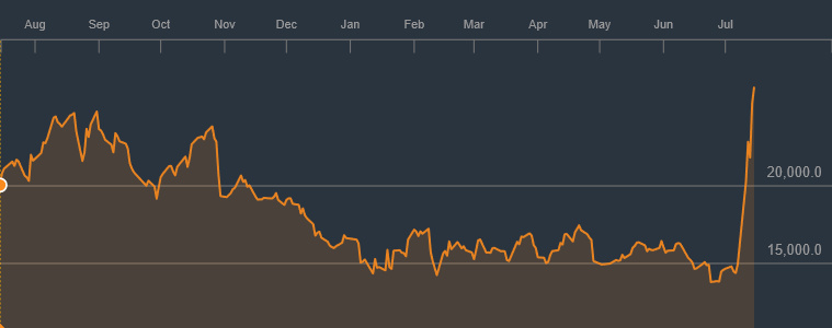 Nintendo's share value over the past year