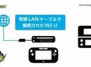 Monster Hunter 3 G on 3DS to Go Online Via Wii U Adapter