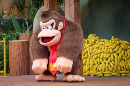 Donkey Kong, however, was out in full force! At the ready with fist bumps for anyone willing to admire his banana hoard