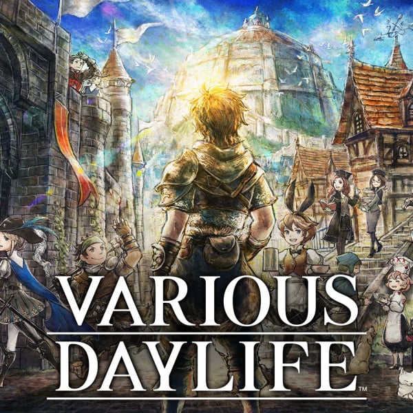 VARIOUS DAYLIFE for Nintendo Switch - Nintendo Official Site