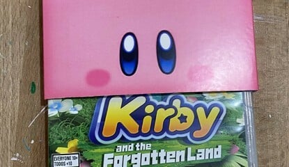Fan Creates A Stunning Custom Sleeve For Kirby And The Forgotten Land