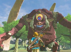 New Zelda: Breath Of The Wild Glitch Sends Link Flying Towards Enemies