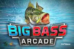 Big Bass Arcade Cover
