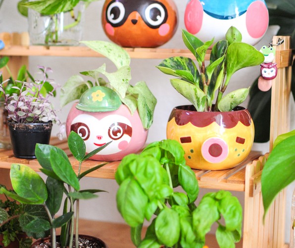 AC Planters by SailorHG and Alice Lee