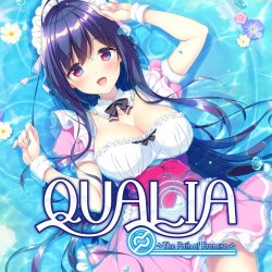 QUALIA ~The Path of Promise~ Cover