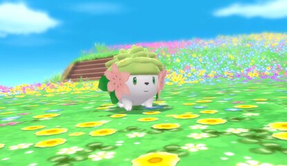 Don't Forget To Catch Shaymin In Pokémon Brilliant Diamond & Shining Pearl