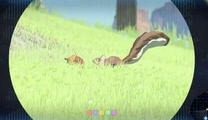 Did You Know You Can Feed Squirrels In Zelda: Breath Of The Wild?