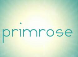 Primrose to Bring Colour and Relaxation to DSiWare