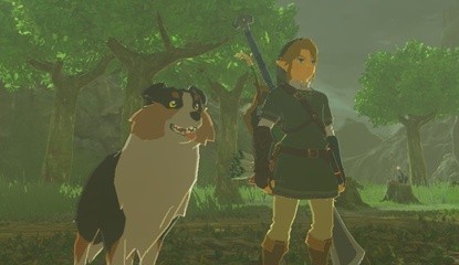 20 Streamers Compete In Zelda: Breath Of The Wild 'Feed All The Dogs' $1,000 Speedrun