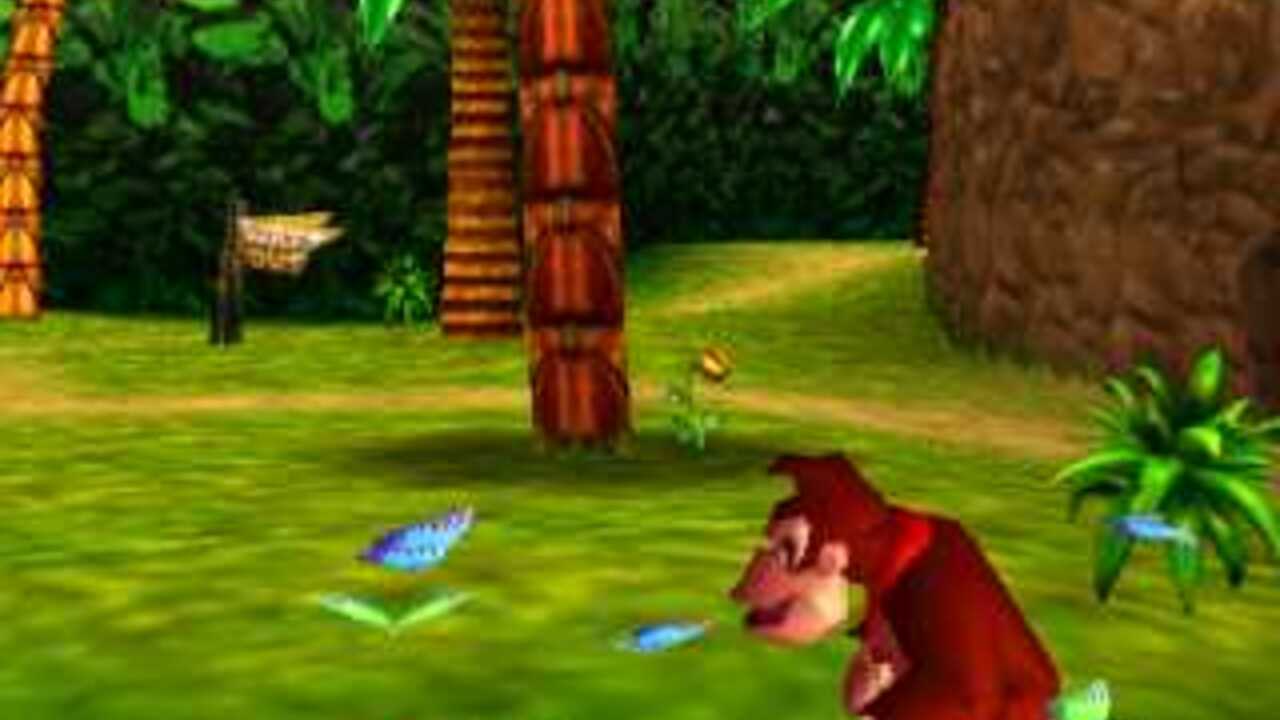 Donkey Kong 64 Pak Prevent Game-Breaking Bug | Nintendo Life