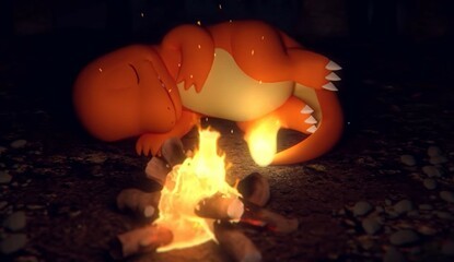Warm Yourselves By The Charmander In This Official Pokémon ASMR Video