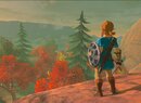 Nintendo of America and Social Media Helped Fulfil a Legend of Zelda Fan's Dream