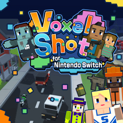 Voxel Shot Cover