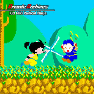 Arcade Archives Kid Niki Radical Ninja