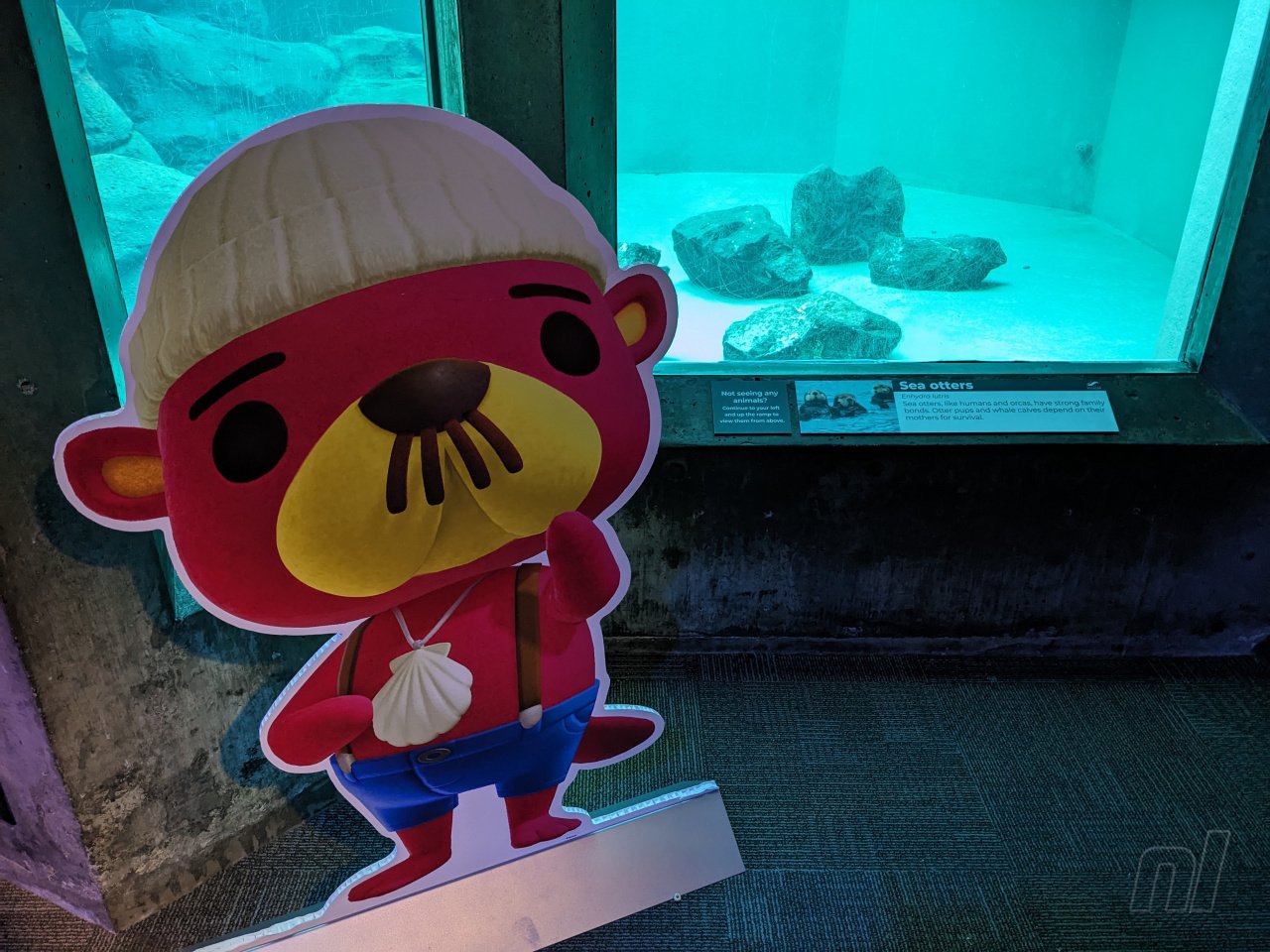 Feature: A Look Inside Seattle's Real-Life Animal Crossing Aquarium ...