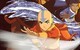 Avatar: The Last Airbender: Quest for Balance