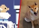 Games Done Quick Just Featured Its First-Ever Speedrunning Dog