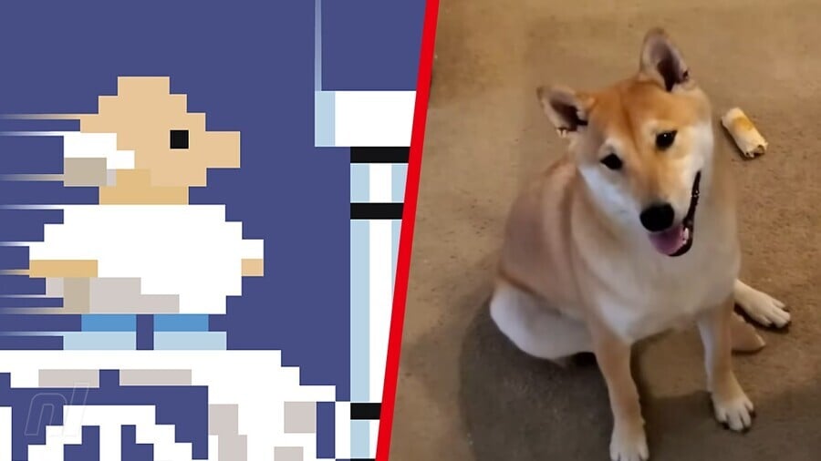 Gyromite and Peanut Butter the speedrunning Shiba