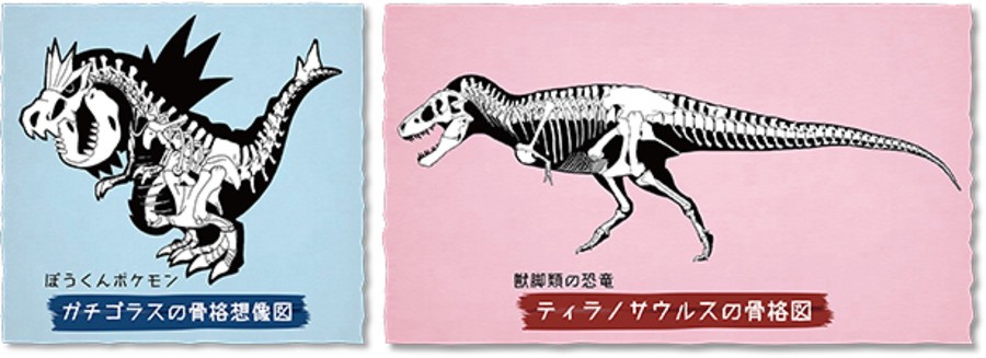 There S Going To Be A Travelling Pokemon Fossil Museum In Japan Nintendo Life