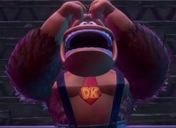 DK Enthusiast Breaks Switch 2 In Bananas Spray Painting Job Gone Wrong