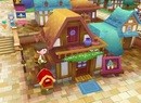 Level 5:  Fantasy Life Will Become A Series