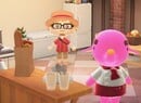 Animal Crossing Villager Vacation Homes - How To Invite Villagers To Happy Home Paradise