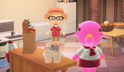 Animal Crossing Villager Vacation Homes - How To Invite Villagers To Happy Home Paradise