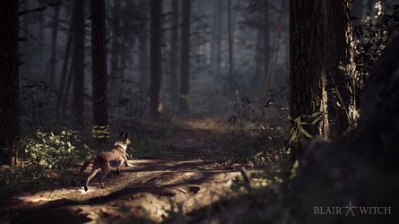 BW Switch Forest Patch Logo