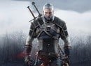  Witcher 3: Wild Hunt - Nintendo Switch : Whv Games: Everything  Else