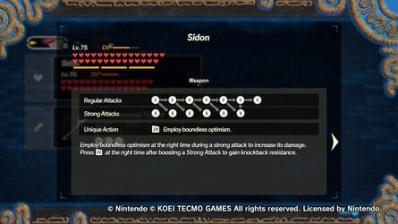 Sidon Weapons