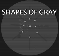 Shapes of Gray Cover
