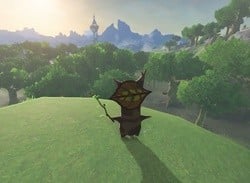 New Glitch In Zelda: Breath Of The Wild Gives You Infinite Korok Seeds