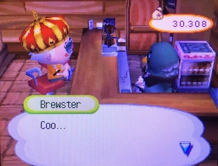 Animal Crossing Wild World Brewster