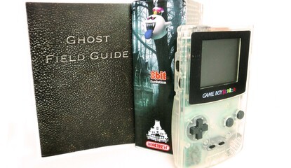 This Limited Edition Luigi's Mansion Game Boy Horror Has Been Reanimated For A Good Cause