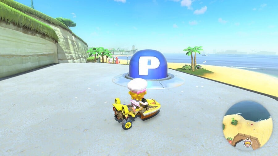 Coastal P Switch 13