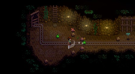 Stardew Valley Nintendo Switch 2 Edition