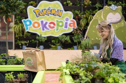 Pokémon Pokopia Garden