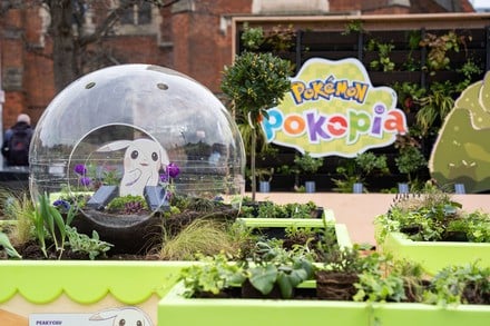 Pokémon Pokopia Garden
