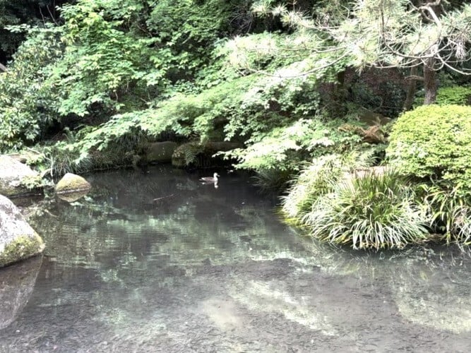 Uma viagem a Machida, a “cidade de paletes” da vida real que inspirou Pokémon 5