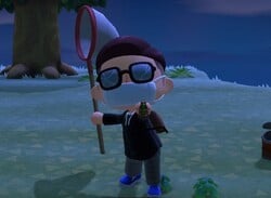 Animal Crossing: New Horizons: How To Catch A Fly