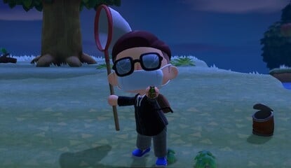 Animal Crossing: New Horizons: How To Catch A Fly