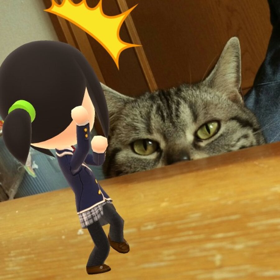 Mii Cat